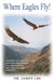 Where Eagles Fly by Lee, James