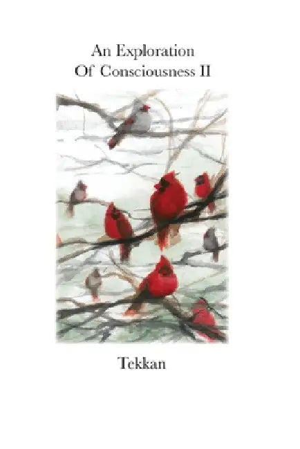 An Exploration of Consciousness II by Tekkan