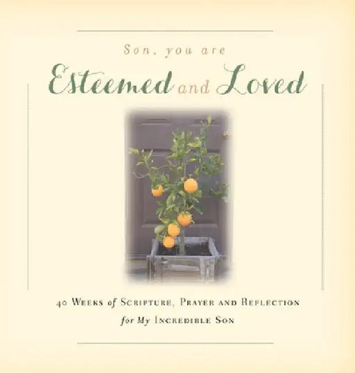 Son, You are Esteemed and Loved: 40 Weeks of Scripture, Prayer and Reflection for My Incredible Son by Rebekah Tague
