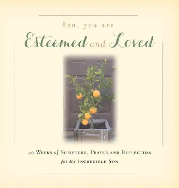 Son, You are Esteemed and Loved: 40 Weeks of Scripture, Prayer and Reflection for My Incredible Son by Rebekah Tague