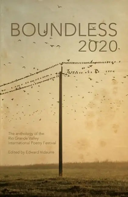Boundless 2020: the official anthology of the Rio Grande Valley International Poetry Festival by Edward Vidaurre