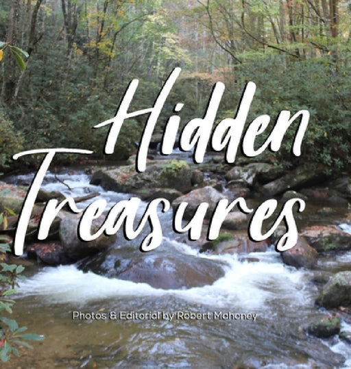 Hidden Treasures: An Illustrated Guide to Finding Happiness & Healing in Nature by Robert L. Mahoney