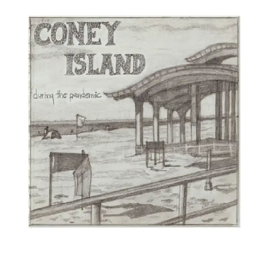 Coney Island During the Pandemic by Susanna Plotnick