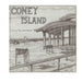 Coney Island During the Pandemic by Susanna Plotnick