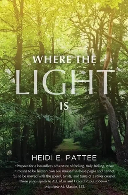 Where The Light Is by Heidi E. Pattee