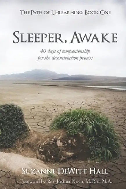 Sleeper, Awake: 40 days of companionship for the deconstruction process by Suzanne DeWitt Hall
