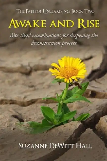 Awake and Rise: Bite-sized examinations for deepening the deconstruction process by Suzanne DeWitt Hall