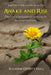 Awake and Rise: Bite-sized examinations for deepening the deconstruction process by Suzanne DeWitt Hall