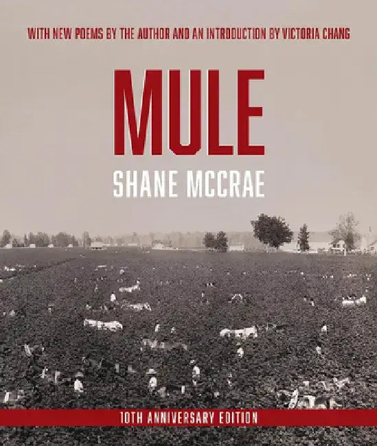 Mule: 10th Anniversary Edition by Shane McCrae