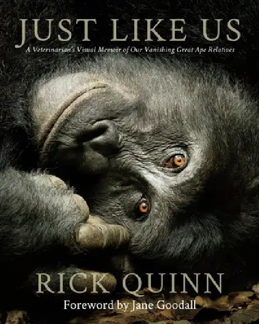 Just Like Us: A Veterinarian's Visual Memoir of Our Vanishing Great Ape Relatives by Rick Quinn