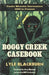 Boggy Creek Casebook: Fouke Monster Encounters 1908 to Present by Lyle Blackburn