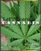 Let's Learn Cannabis by Amber Chamberlain