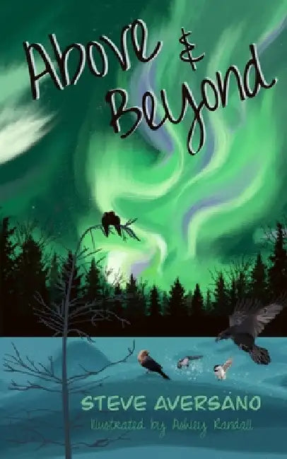 Above & Beyond by Steve Aversano