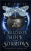 Cauldron of Hope and Sorrows: A Young Adult Epic Fae Fantasy by J. C. Lucas