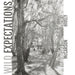 Wild Expectations by Zach Hively