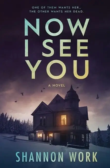 Now I See You by Shannon Work