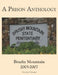 A Prison Anthology: Brushy Mountain 2005-2007 by Garry W. Johnson