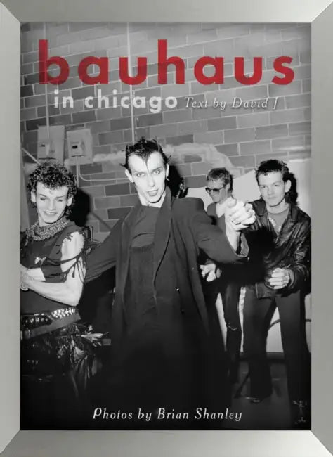 Bauhaus In Chicago by Brian Shanley David J