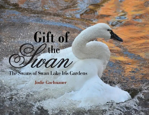 Gift of the Swan: The Swans of Swan Lake Iris Gardens by Jodie Gochnauer