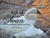 Gift of the Swan: The Swans of Swan Lake Iris Gardens by Jodie Gochnauer