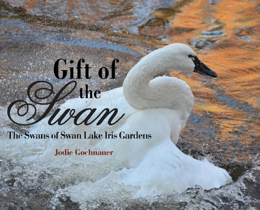 Gift of the Swan: The Swans of Swan Lake Iris Gardens by Jodie Gochnauer