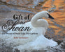 Gift of the Swan: The Swans of Swan Lake Iris Gardens by Jodie Gochnauer