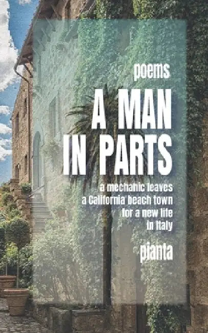 A Man in Parts by Pianta