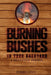 Burning Bushes in Your Backyard by Diana C. Lowe