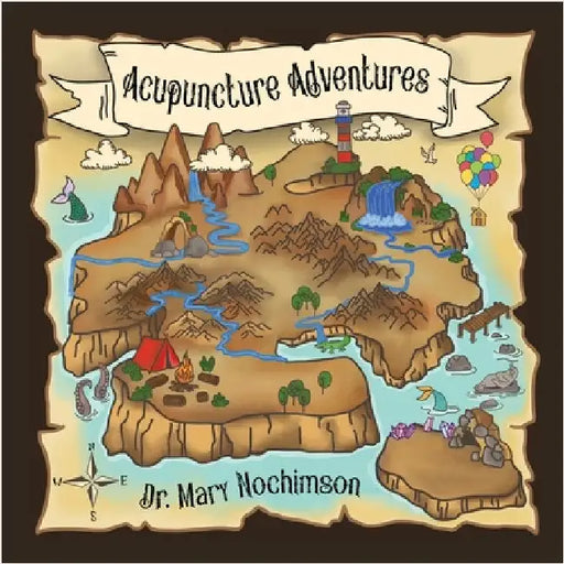Acupuncture Adventures by Nochimson, Mary