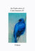 An Exploration of Consciousness IV by Tekkan