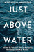 Just Above Water: A YA Anthology by Racquel Henry