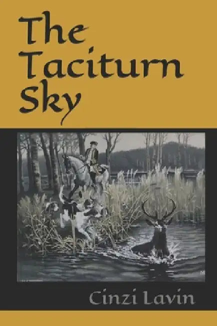 The Taciturn Sky by Cinzi Lavin