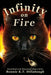 Infinity on Fire by Bonnie K. T. Dillabough