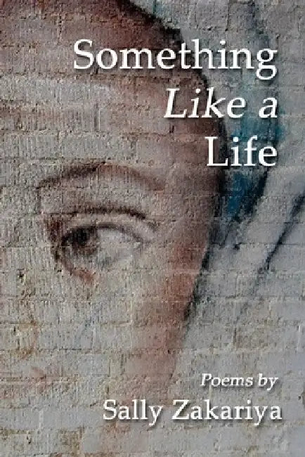 Something Like a Life by Sally Zakariya