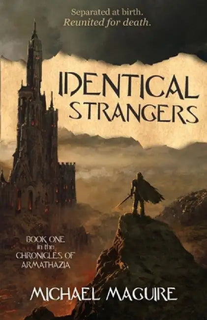 Identical Strangers by Michael Maguire