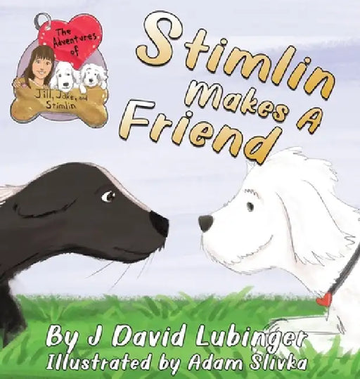 The Adventures of Jill, Jake, and Stimlin: Stimlin Makes A Friend by J. David Lubinger, Adam Slivka