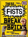 These Fists Break Bricks: How Kung Fu Movies Swept America and Changed the World by Grady Hendrix