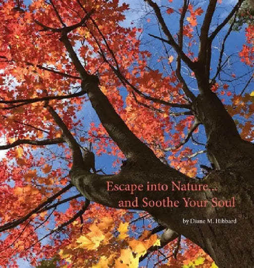 Escape Into Nature... and Soothe Your Soul by Diane M. Hibbard