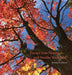 Escape Into Nature... and Soothe Your Soul by Diane M. Hibbard