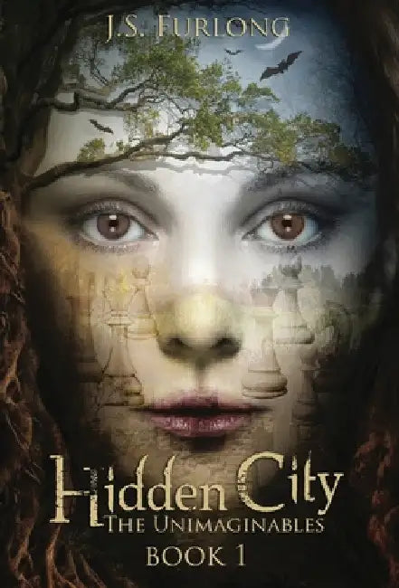 Hidden City by J. S. Furlong