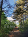 Seasons of the Pine Bush by Louis Valenti