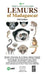 Lemurs of Madagascar by Russell A Mittermeier
