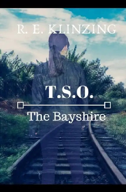 The Bayshire by R. E. Klinzing