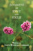 Sonnets of Envy and Exile by Judith Liberman