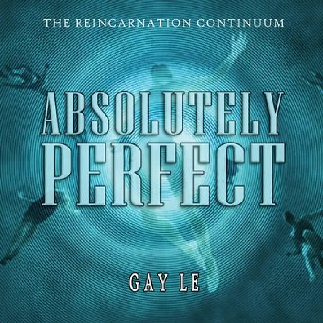 Absolutely Perfect by Gay Le