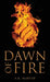 Dawn of Fire by E. R. Martin