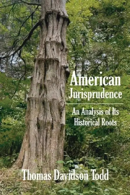 American Jurisprudence: An Analysis of Its Historical Roots by Thomas Davidson Todd