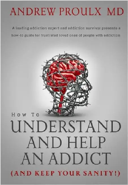 How to Understand and Help an Addict (and keep your sanity) by Proulx, Andrew