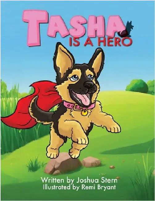 Tasha Is A Hero by Stern, Joshua