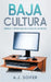 Baja cultura: Ensayos y entrevistas de la era de los blogs by Soifer, Alejandro